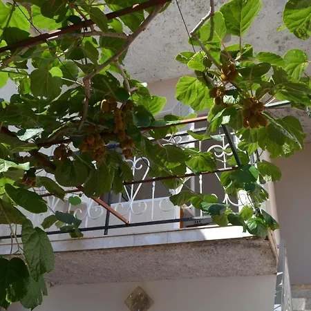 Seaside House Sutomiscica, Ugljan - 15965 Preko