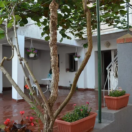 Nyaraló Seaside House Sutomiscica, Ugljan - 15965 *